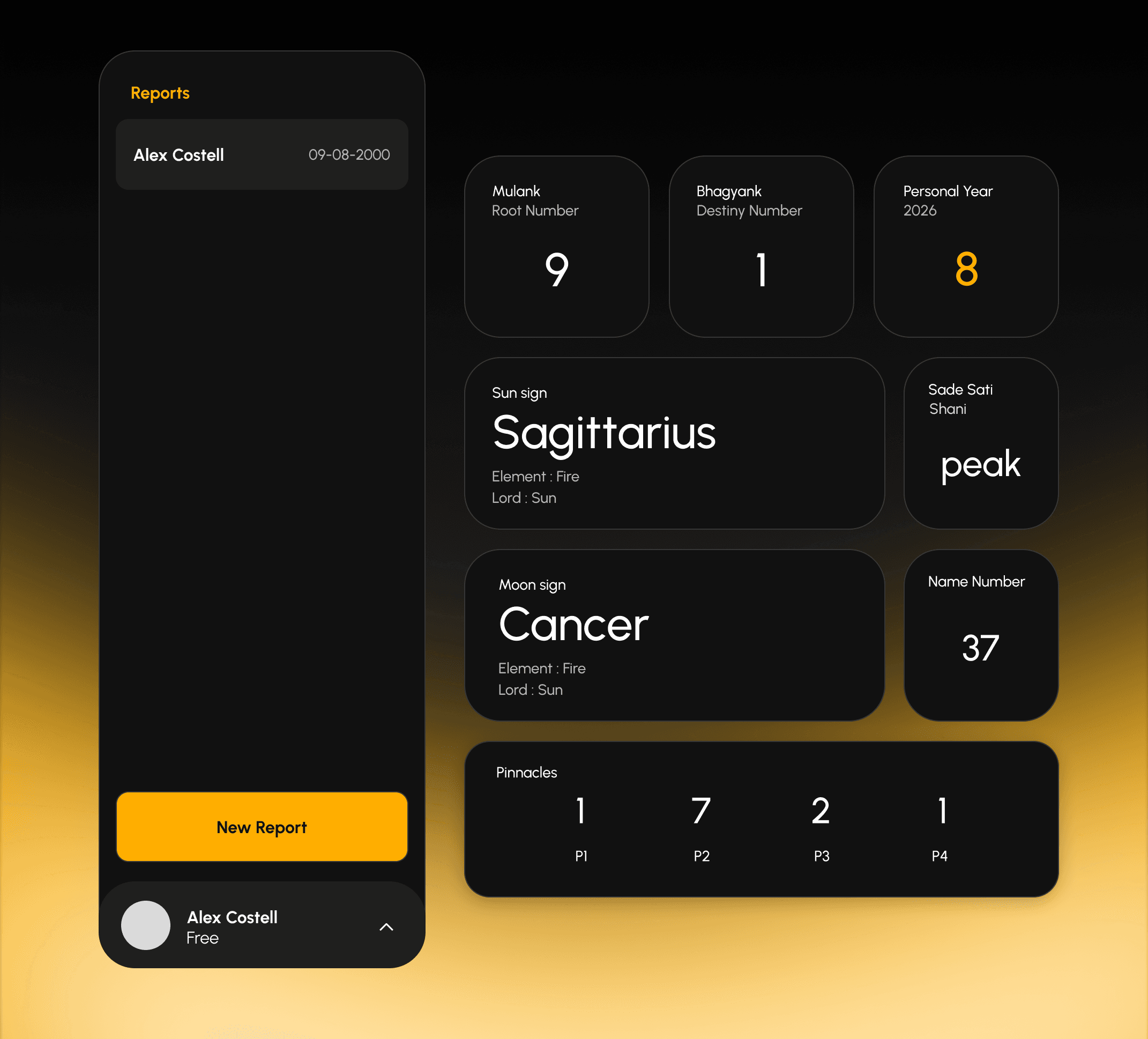 RAGVERSE numerology dashboard showing core birth numbers